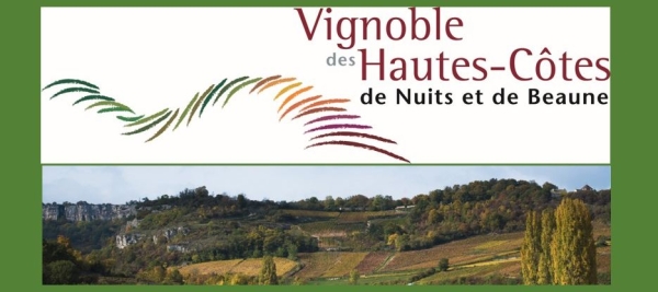 Carte des vins Cafés-Hôtels-Restaurants (CHR) - Bourgogne Hautes-Côtes de Beaune et de Nuits rouges en tête