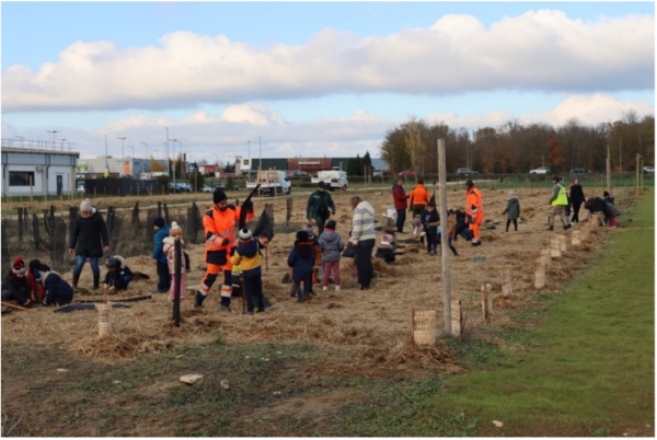 Les enfants de Chevigny plantent 400 nouveaux arbres dans la commune