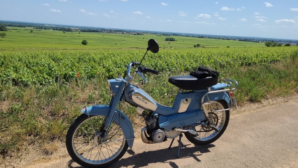 J'ai testé pour vous - Ma balade en mobylette avec Marc des Mobylettes de Chorey