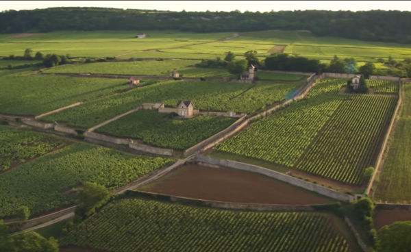 Cité des Climats de Beaune : mais qu’est-ce qu’un « climat » ?