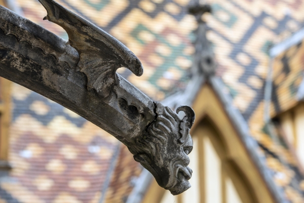 Hôtel-Dieu de Beaune - Découvrez les « Histoires de Dates » et le bestiaire fantastique pour le 850e anniversaire du roman de Renart le samedi 20 janvier