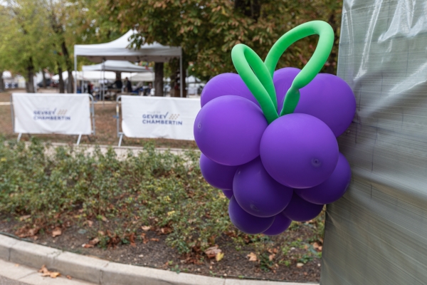 Le Gevrey Wine Food and Music passe à l’heure d’été pour sa 5e édition le samedi 24 juin 