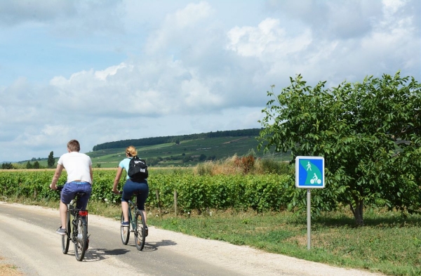 Hautes-Côtes de Beaune - 100 km de pistes VTT seront identifiés d'ici 18 mois au cœur des Climats de Bourgogne  