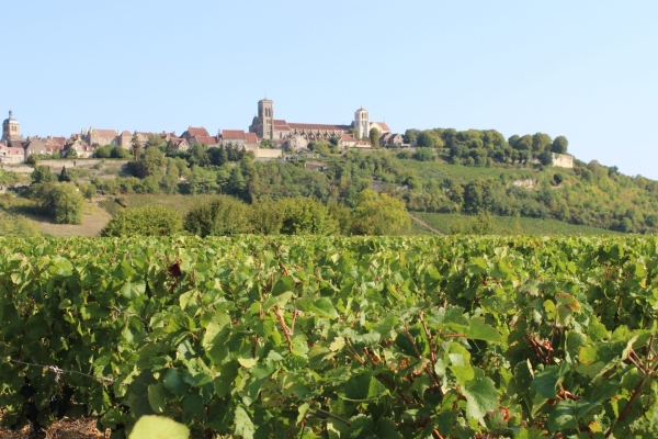 Daniel Moiron fait don de terres du vignoble de Vézelay aux Hospices Civils de Beaune