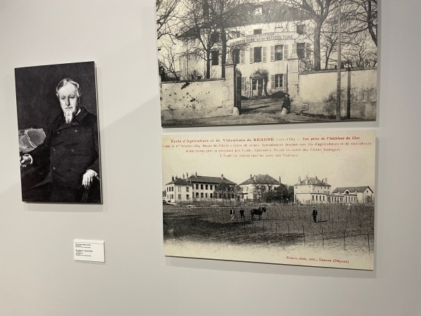 « Destins croisés, 300 ans de génie beaunois » 3/6 - Les personnalités liées aux produits du terroir