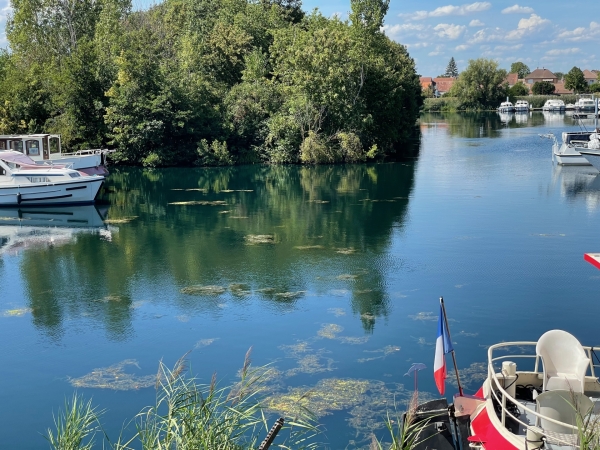 A Saint-Jean-de-Losne, VNF poursuit son expérimentation pour lutter contre la prolifération du Myriophylle hétérophylle, une plante exotique envahissante