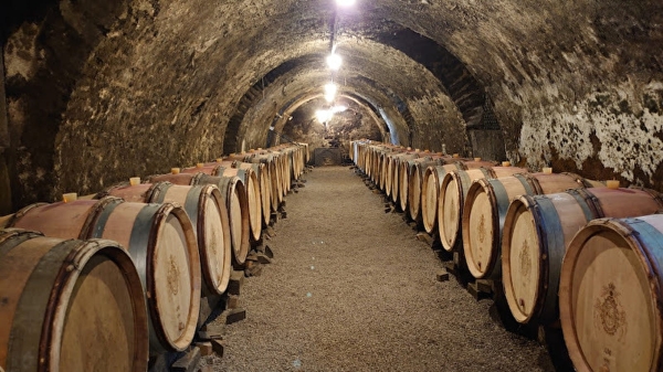 Visite guidée de Meursault Underground le mardi 27 juin