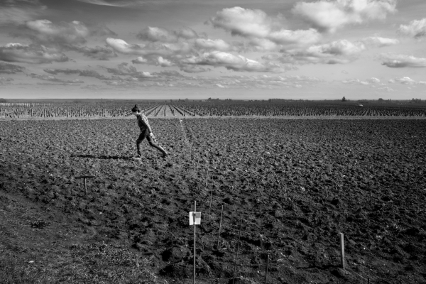 Beaune - Expositions « Saison Photos » cet été à la Cité des Climats et Vins de Bourgogne