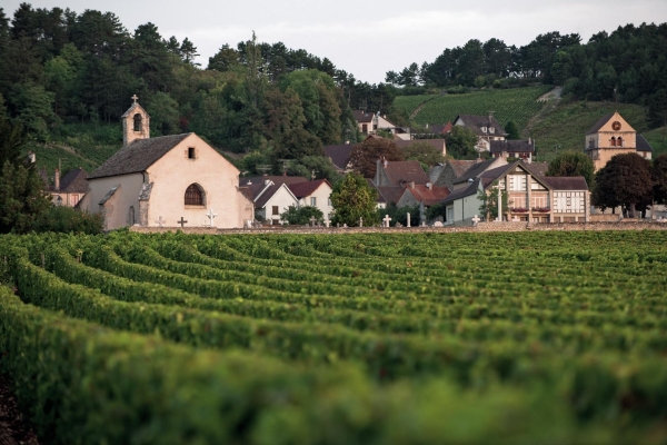 Déambulation à la découverte du village de Volnay le mercredi 28 juin