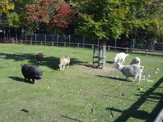 Beaune - Venez découvrir les animaux et la nature au parc de la Bouzaize en juillet