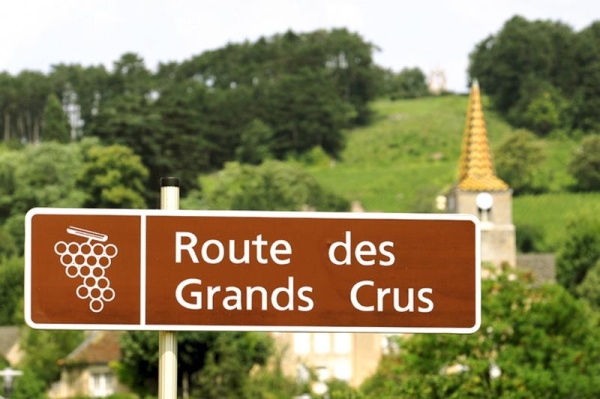 Le Département modernise la Route des Grands Crus pour en faire un itinéraire exemplaire