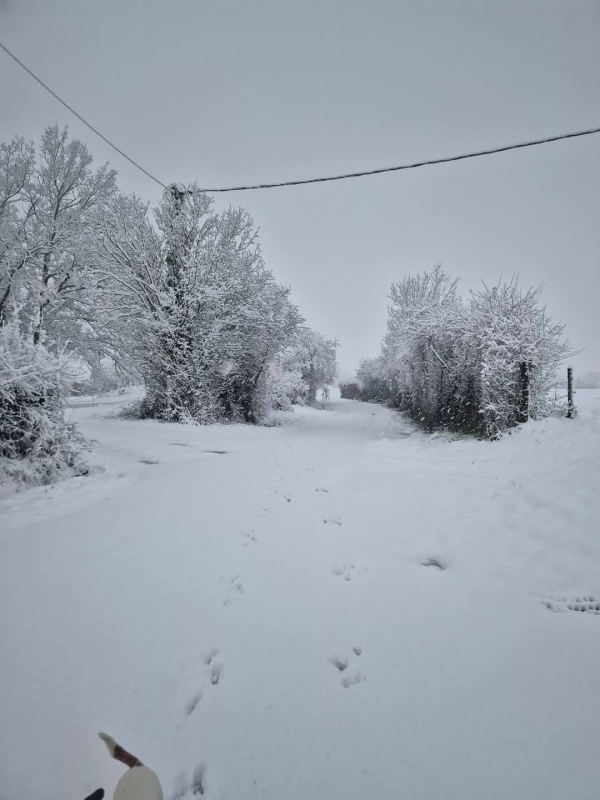 Du côté de Semur en Auxois, le réveil est enneigé ce jeudi matin 