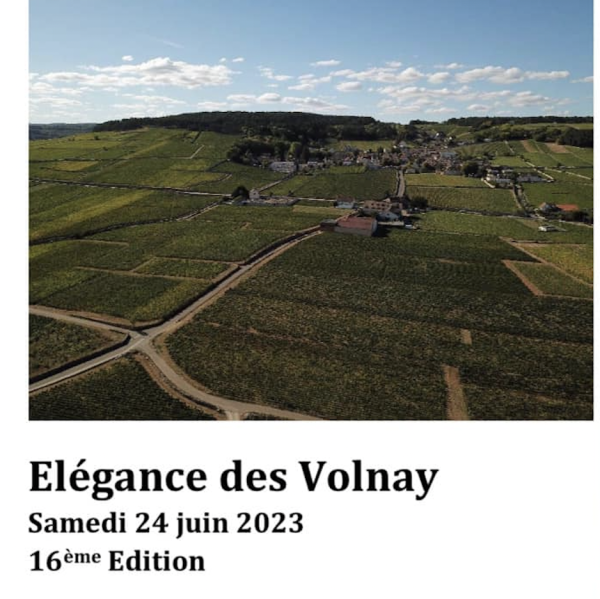 Les Volnay à l'honneur ce samedi 