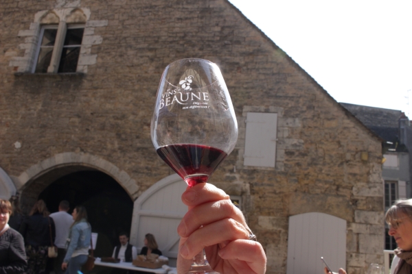 Dégustation de vins au Musée du vin !